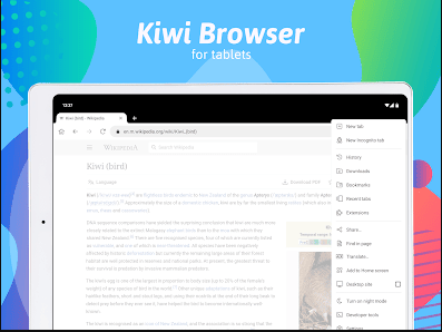 Télécharger Kiwi Browser pour Windows 11/10 et Mac