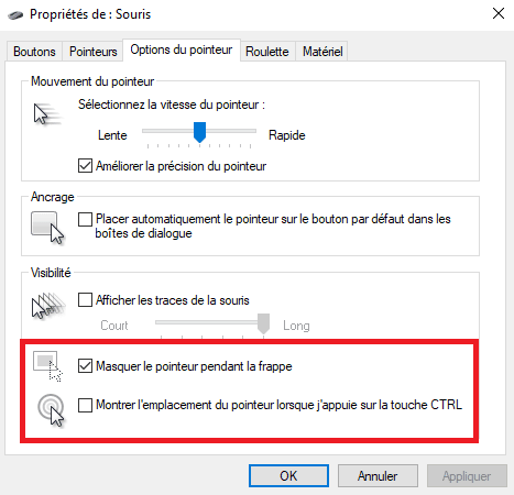 Le pointeur de la souris a disparu ou invisible dans Windows 11/10