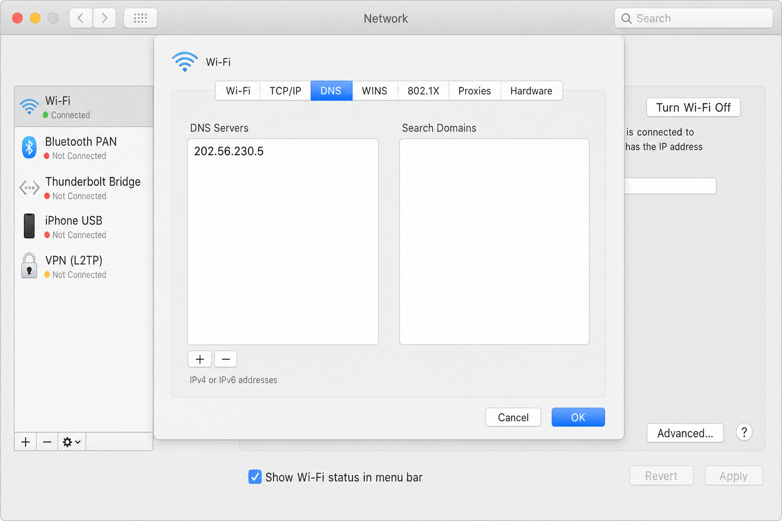 Onglet DNS des paramètres réseau macOS avec champ des serveurs DNS et bouton plus pour ajouter de nouveaux serveurs